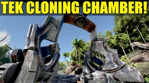 Tek cloning chamber. Things To Know About Tek cloning chamber. 